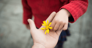 Ensinando a Gratidão: Criando um Ambiente de Agradecimento Constante