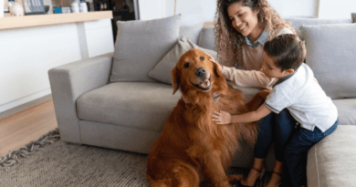 Responsabilidade com Animais de Estimação: Lições Valiosas para seus filhos