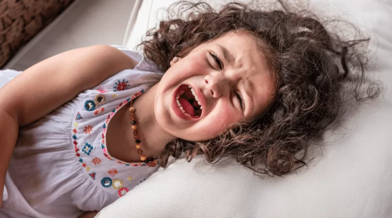 Lidando com Birras: Estratégias para Ensinar o Controle Emocional